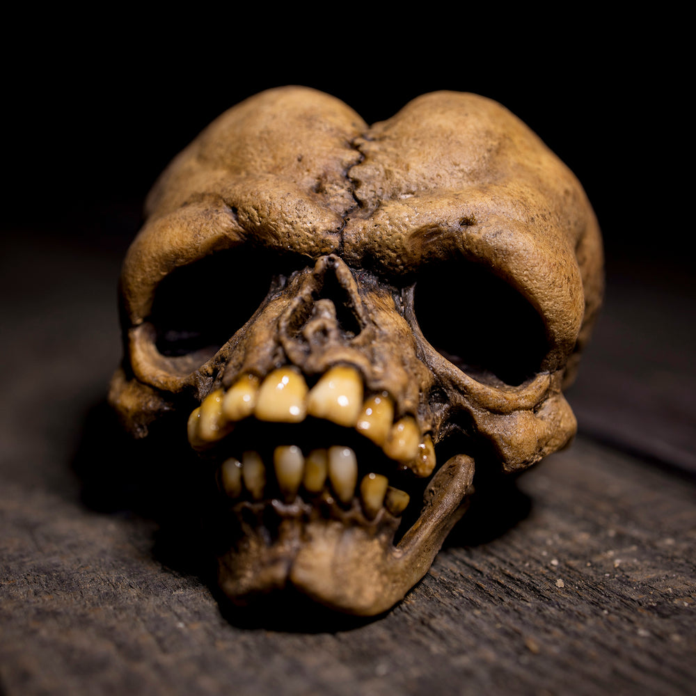 スカルヘッドバット SKULL HEADBUTT Class Of 1992 297A3521_1000x.JPG?v=1563814866