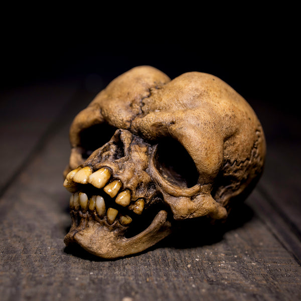 Butthead Skull
