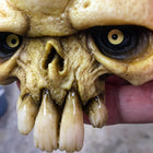 Rotten Tail Skull