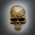 Skull Magnet - Bone